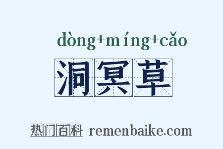 洞冥草是什么意思的图片